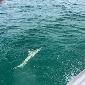 Midnight Magic: Offshore Thrills In Destin