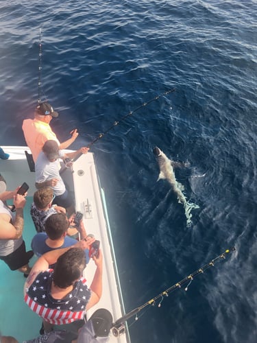 Midnight Magic: Offshore Thrills In Destin