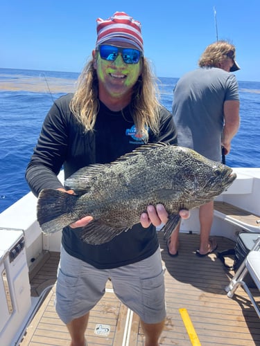 Best Day Ever - Reef Fishing In Islamorada