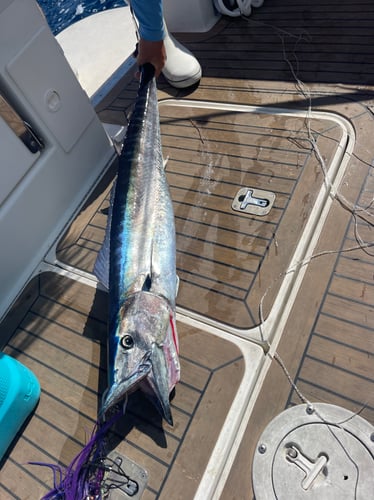 Best Day Ever - Reef Fishing In Islamorada