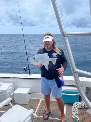 Best Day Ever - Reef Fishing In Islamorada