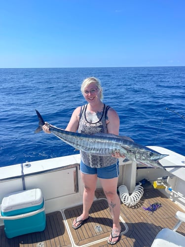 Trolling And/or Wreck Fishing In Islamorada