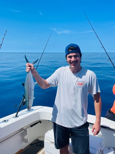 Trolling And/or Wreck Fishing In Islamorada