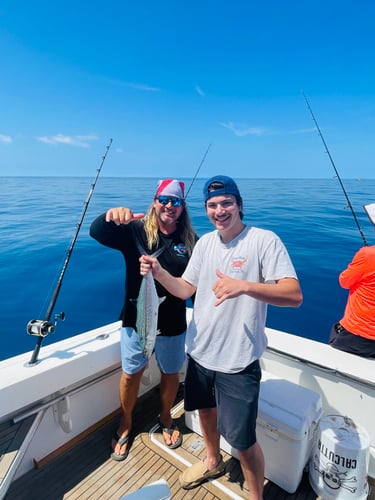 Trolling And/or Wreck Fishing In Islamorada