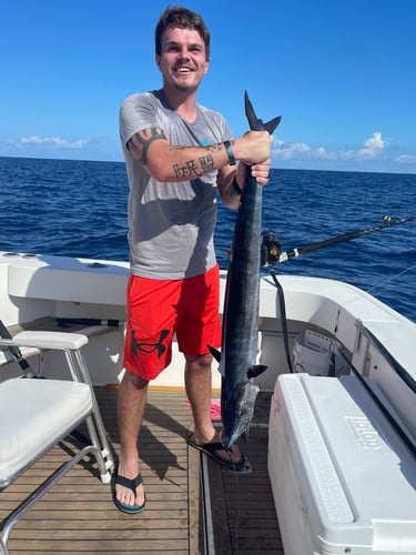 Trolling And/or Wreck Fishing In Islamorada