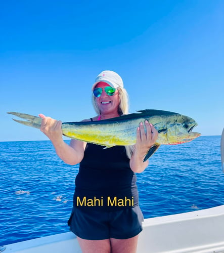 Trolling And/or Wreck Fishing In Islamorada