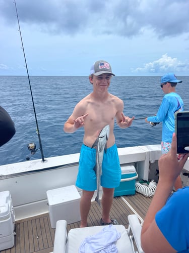 Trolling And/or Wreck Fishing In Islamorada