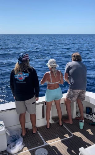 Trolling And/or Wreck Fishing In Islamorada