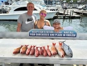 Quick Catches In The Gulf In Shalimar