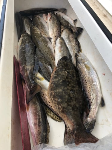 Lake Sabine Angler's Paradise In Port Arthur