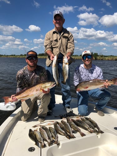 Lake Sabine Angler's Paradise In Port Arthur