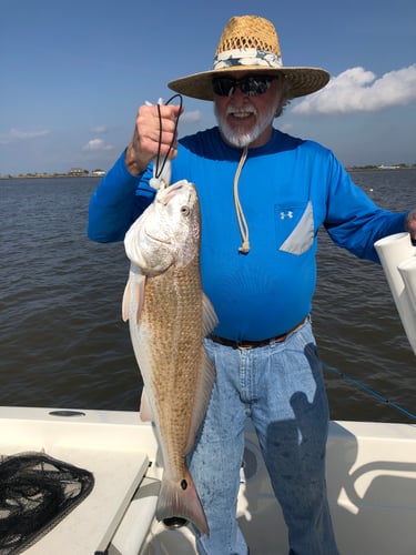 Lake Sabine Angler's Paradise In Port Arthur
