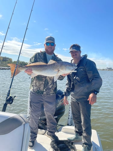 Lake Sabine Angler's Paradise In Port Arthur