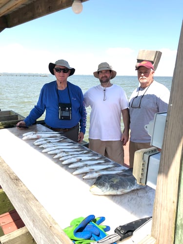 Lake Sabine Angler's Paradise In Port Arthur