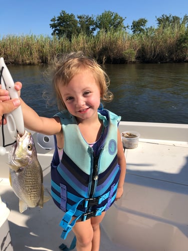Lake Sabine Angler's Paradise In Port Arthur
