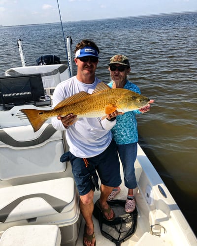 Lake Sabine Angler's Paradise In Port Arthur