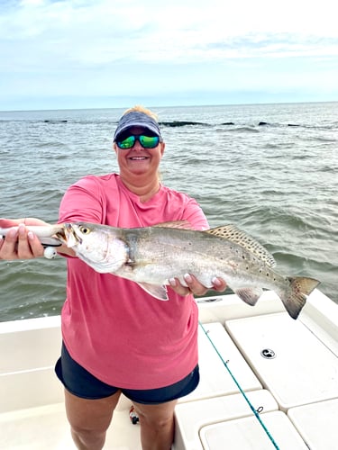 Lake Sabine Angler's Paradise In Port Arthur