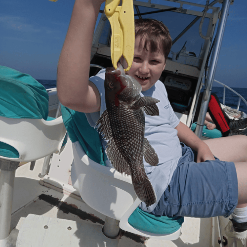 1/2 Day Offshore Adventure In St. Marys