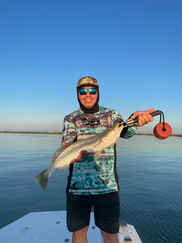 Tortuga Flats Fishing Fiesta In Port Aransas