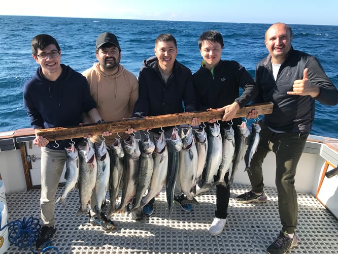 Lake Michigan Angler's Delight In Kenosha