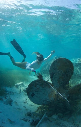 Lionfish Spearfishing Fury In Key West