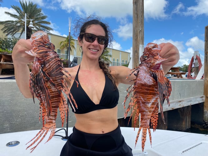 Lionfish Spearfishing Fury In Key West