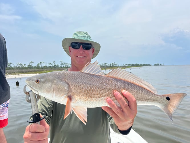 Damn Good Gulf Fishing In Gulf Shores