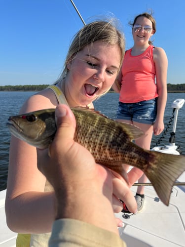 3 Hour Inshore/NearShore In Gulf Shores