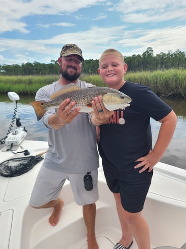 3 Hour Inshore/NearShore In Gulf Shores