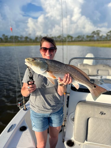 Bama Fly Frenzy In Gulf Shores