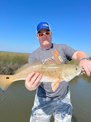 3 Hour Inshore/NearShore In Gulf Shores