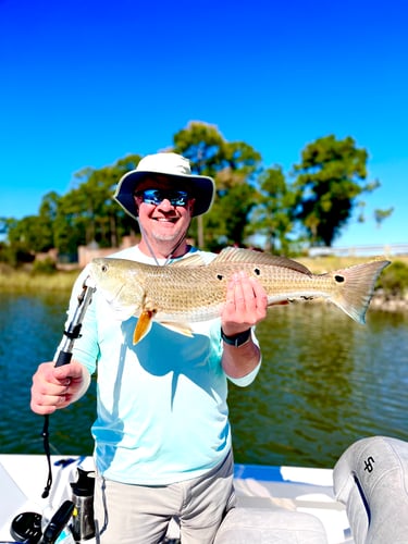 Bama Fly Frenzy In Gulf Shores