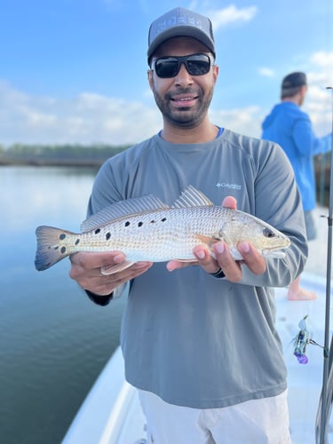 3 Hour Inshore/NearShore In Gulf Shores