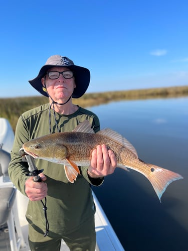 3 Hour Inshore/NearShore In Gulf Shores