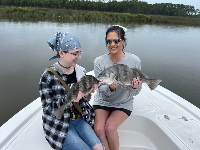 3 Hour Inshore/NearShore In Gulf Shores