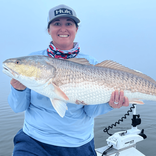 Bama Fly Frenzy In Gulf Shores