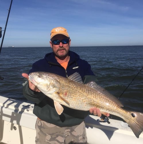 Galveston Bay Fishing In Galveston