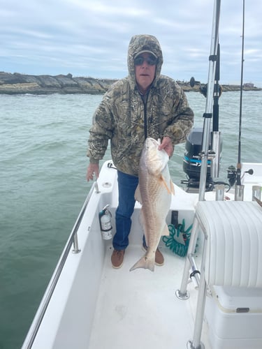 Galveston Bay Fishing In Galveston