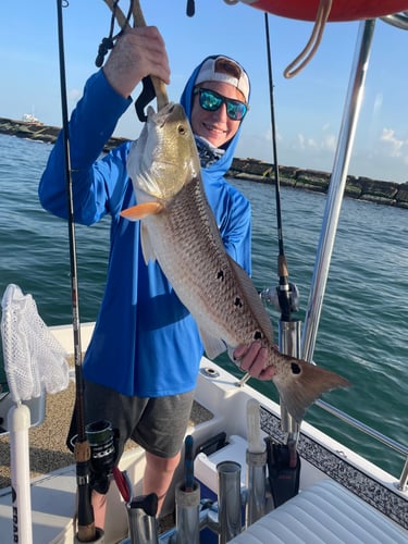 Galveston Bay Fishing In Galveston