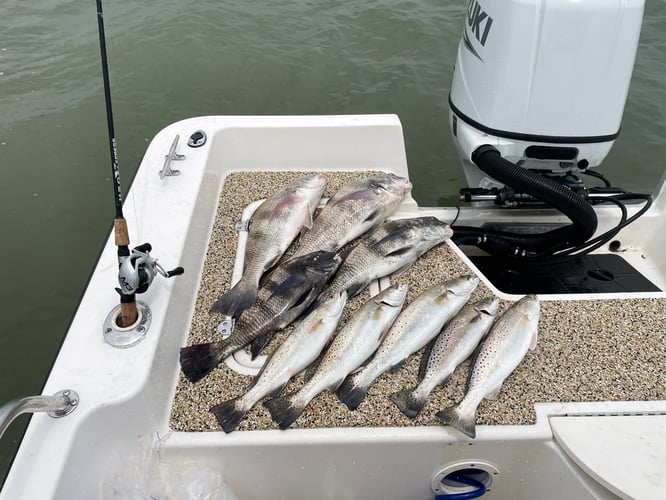 Galveston Bay Fishing In Galveston