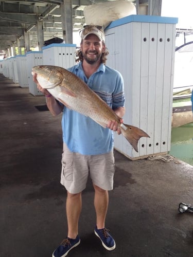 Galveston Bay Fishing In Galveston