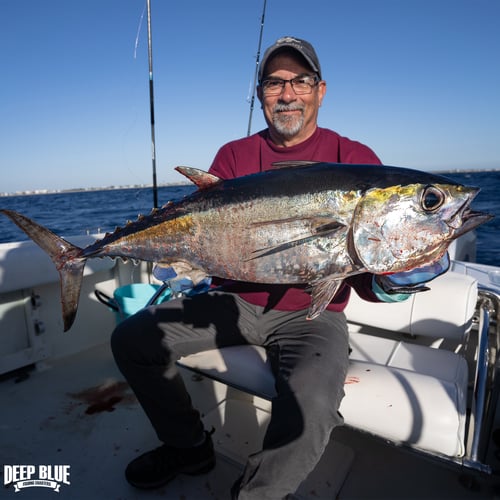 Offshore Sport Fishing In Boynton Beach