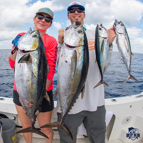 Offshore Sport Fishing In Boynton Beach