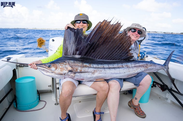 Offshore Sport Fishing In Boynton Beach