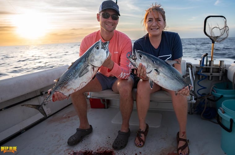 Offshore Sport Fishing In Boynton Beach