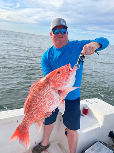 Deep Sea Fishing *CATCH GIANTS* In Dauphin Island