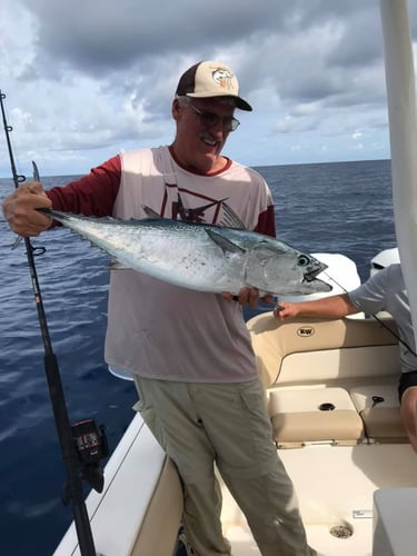 Full Day Offshore Trip In Cape Coral