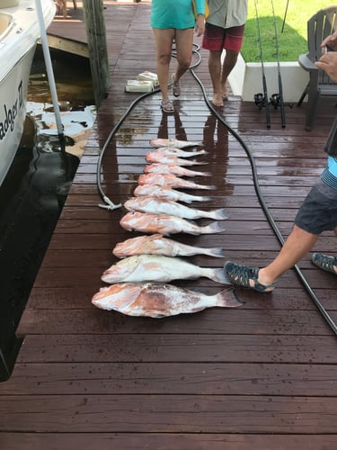 Full Day Offshore Trip In Cape Coral