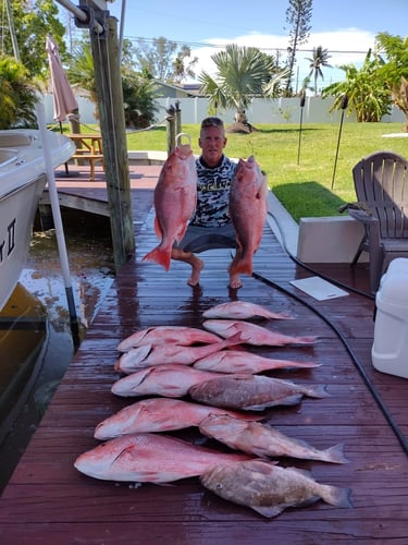 Full Day Offshore Trip In Cape Coral