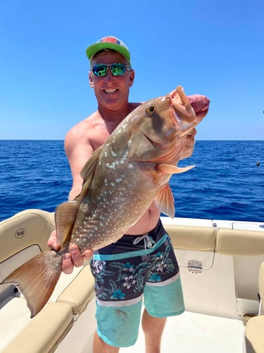 Full Day Offshore Trip In Cape Coral